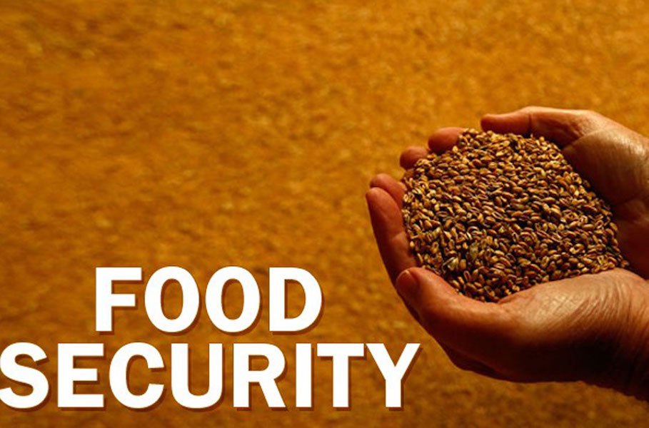 FG’s new commitment to food security