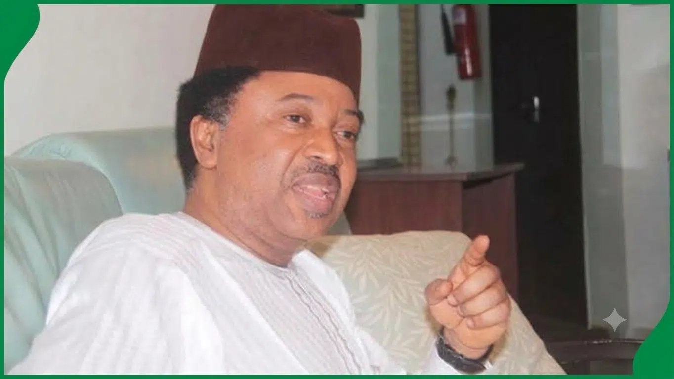 Shehu Sani Reveals What Could Happen If North Takes Power From Tinubu In 2027