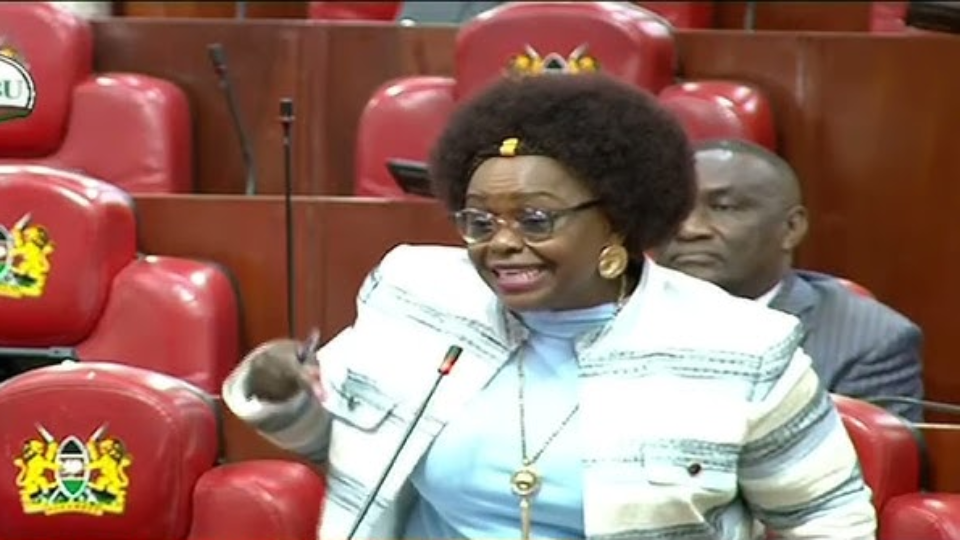 Parliament Comes To A Standstill As MPs Clash With Millie Odhiambo For Saying This About ODM MP