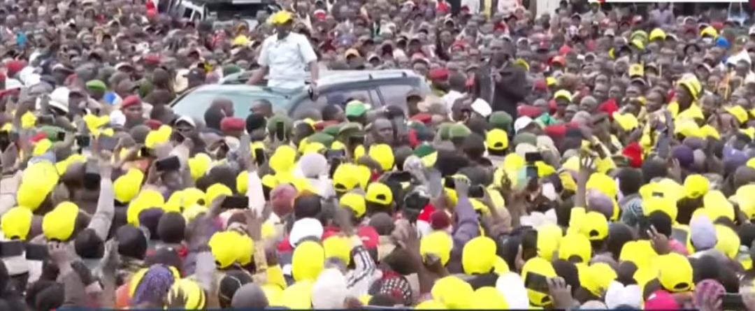 “Wakili Bila Akili,” How Senator Cheruiyot Says Ruto Will Defeat Sifuna And Opposition