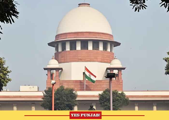 SC Orders Rajasthan Cricket Association Poll Results to Be Kept in Sealed Cover