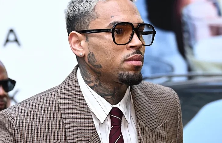 Dog Attack: Chris brown accused of blocking efforts to recover $9m court award