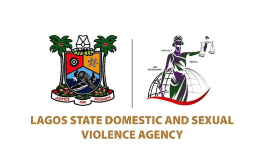 Lagos publishes nationwide directory to help GBV survivors access support