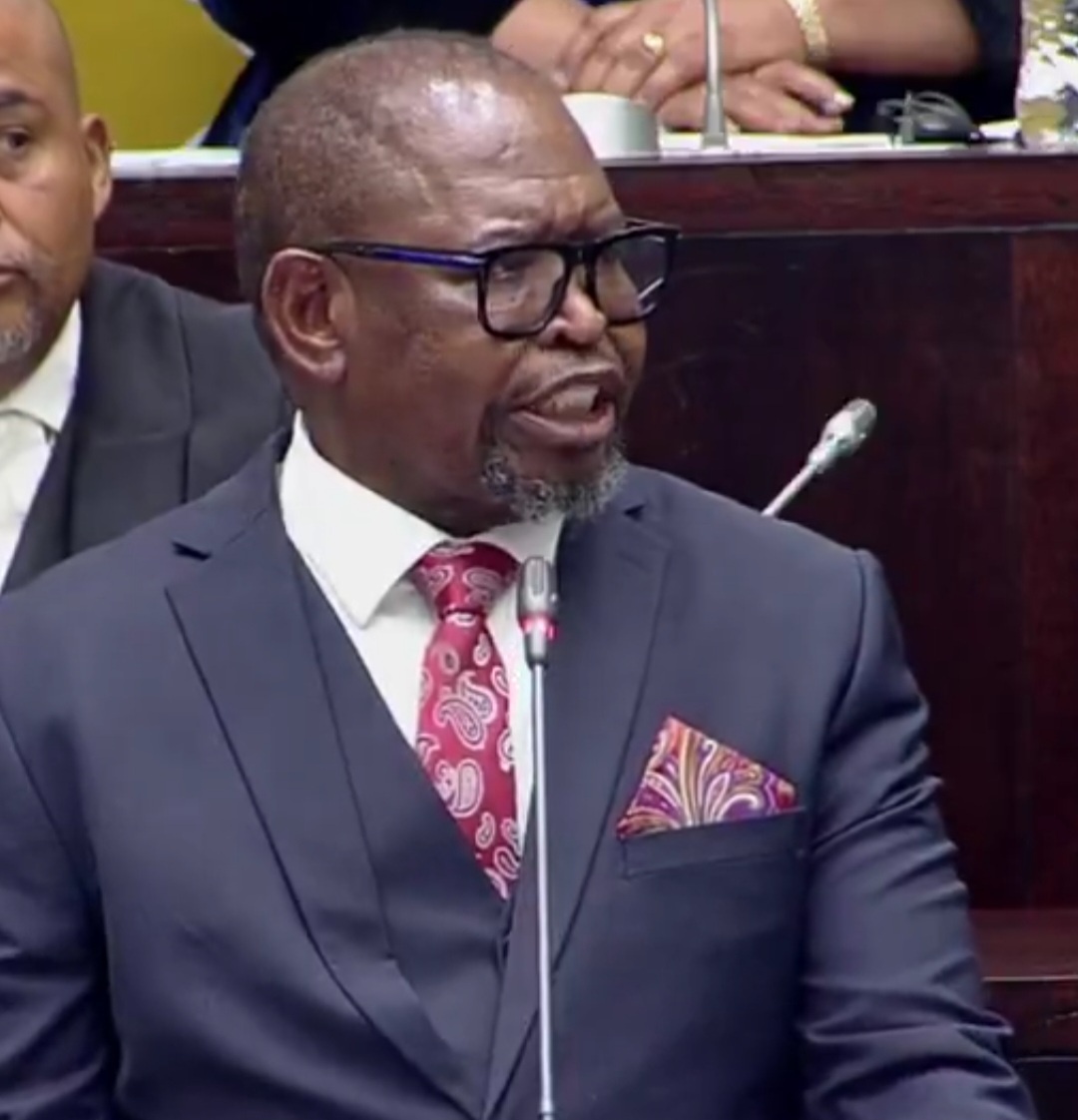Opposition Calls Godongwana’s Fuel Levy Cuts ‘A Scam’ as GNU Offers Muted Support