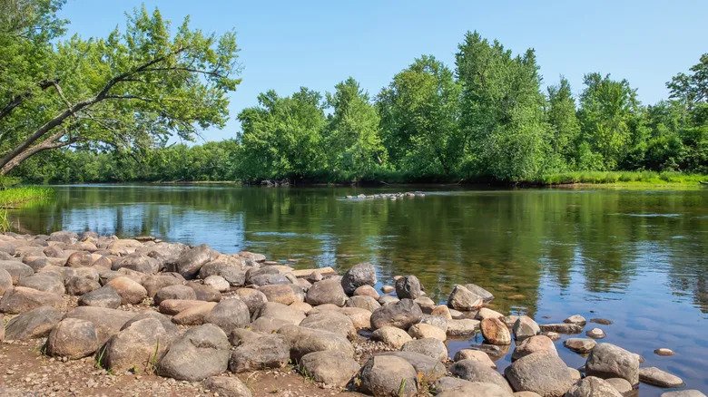 Minnesota’s Largest State Park Is A Riverside Recreational Hub With Scenic Camping, Hiking, And Canoeing