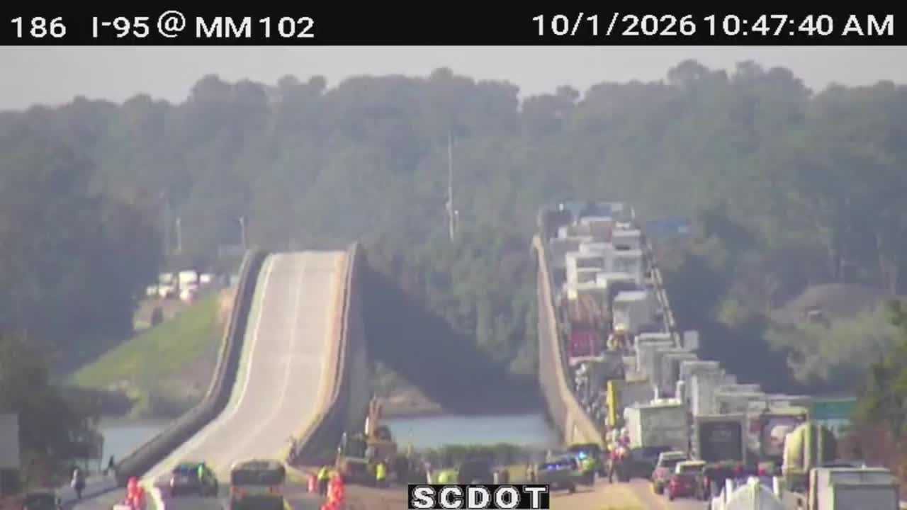 Pileup proposal: Man proposes to girlfriend during 69-vehicle pileup in South Carolina