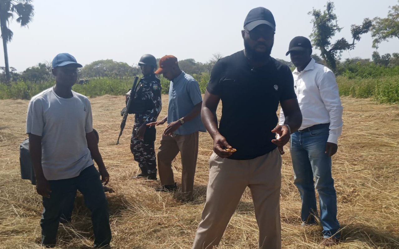 BOA moves to revive ginger industry, targets 3m tonnes production