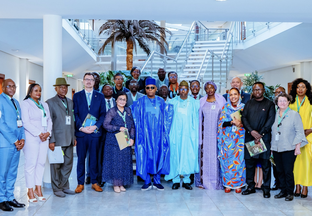 Shettima launches continental community health plan, pledges improved welfare for workers