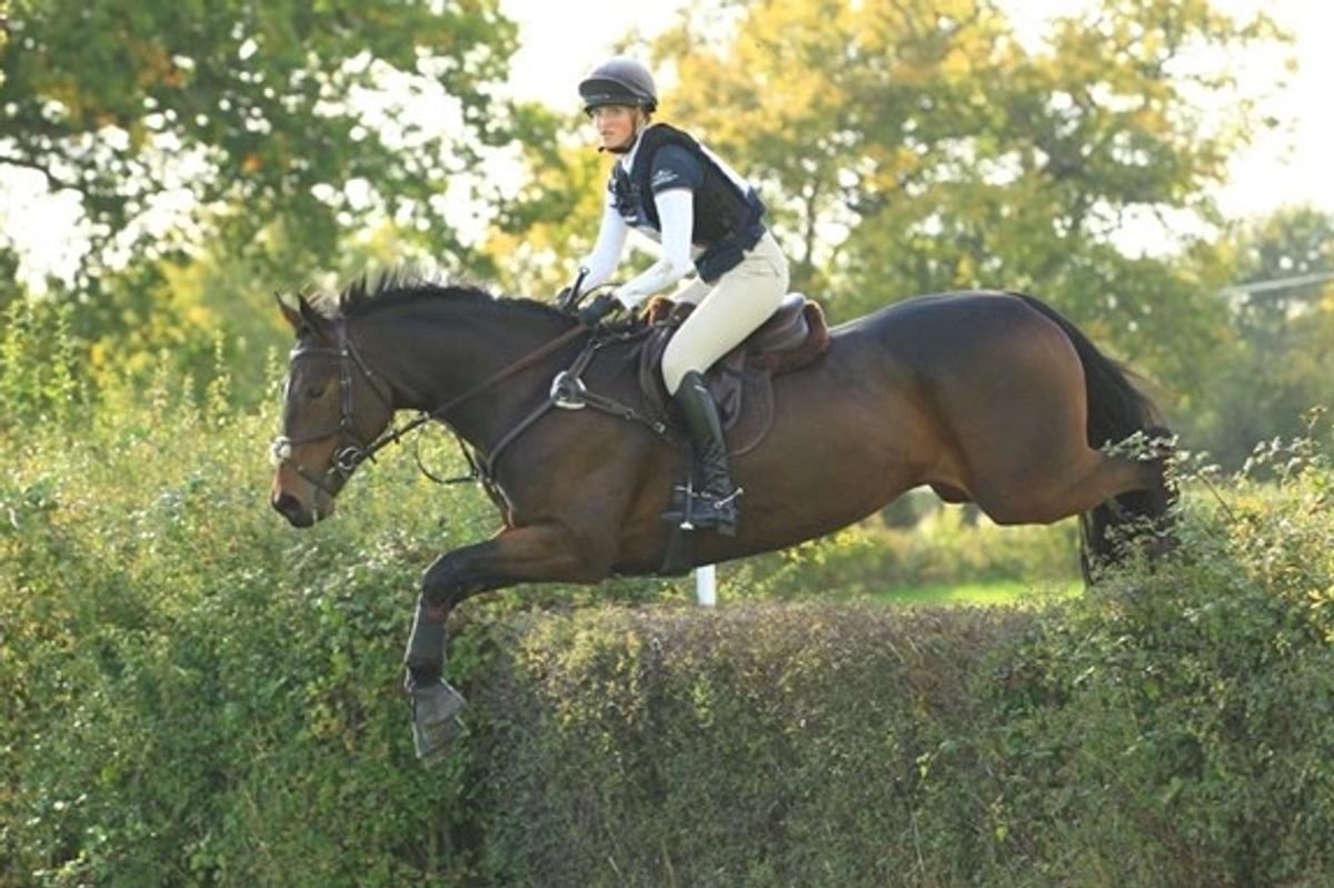 Horse ridden by Team GB two-time Olympic gold medal winner Laura Collett dies in crash
