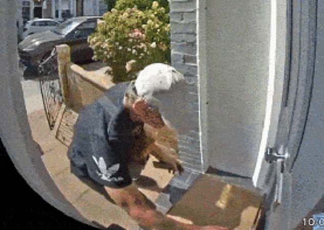 Porch pirate who stole packages of wine, champagne and designer clothing in months-long thieving spree is caught after residents compiled ‘doorbell footage dossier’