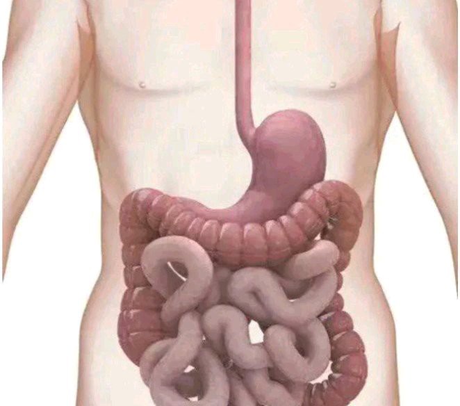 4 drinks you should take regularly to clean your stomach