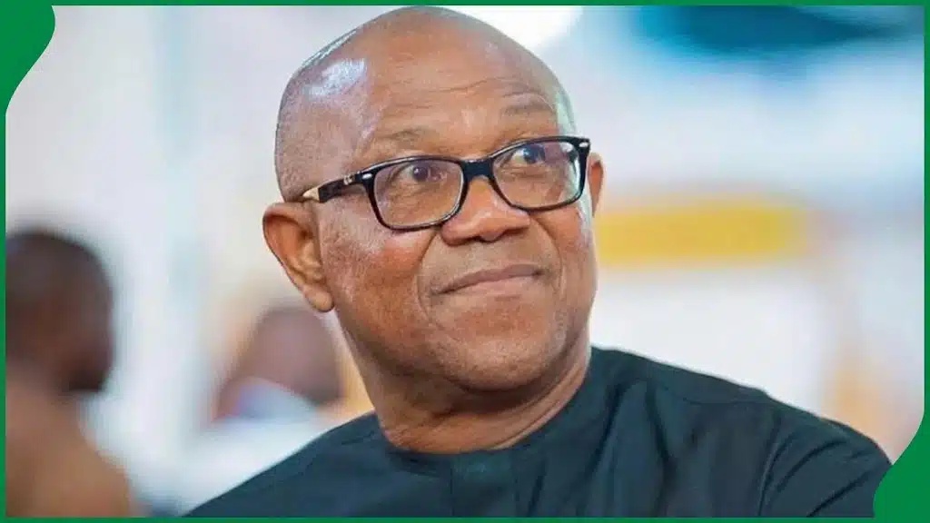 I Will Go Into The Bush If Anybody Takes Schoolchildren – Peter Obi