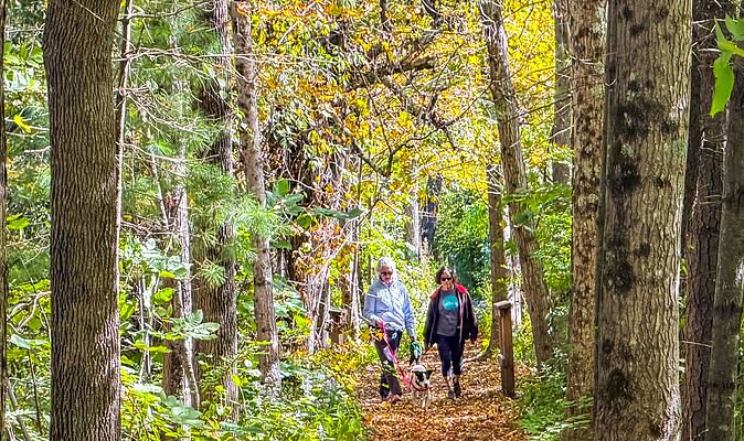 Warning to all dog owners going on walks this October