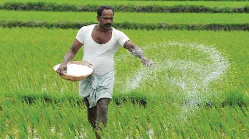2,371 MT of Fertiliser Worth ₹5.18 Crore Seized Across AP