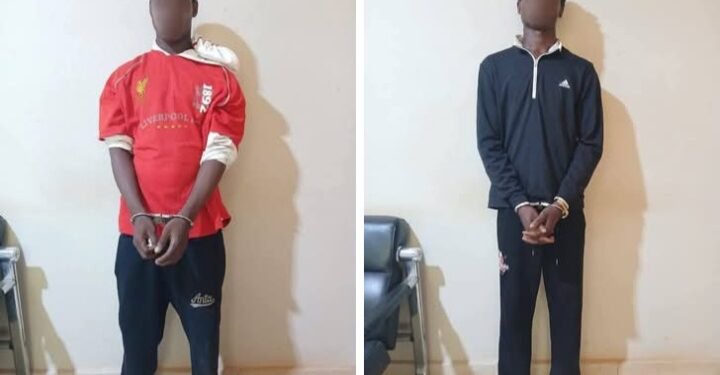 Police arrest two suspects over tragic murder of female tricycle operator in Bono East