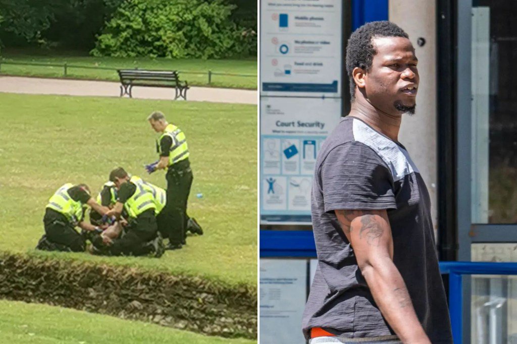 Hotel migrant who police believed was ‘on the run’ after attacking 2 female cops was already in jail for drug dealing