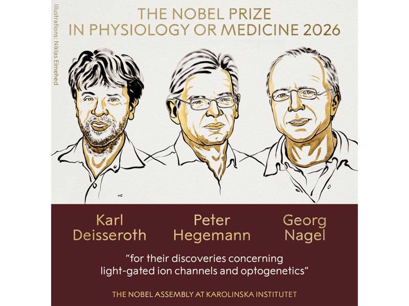 3 scientists get medicine Nobel for brain research