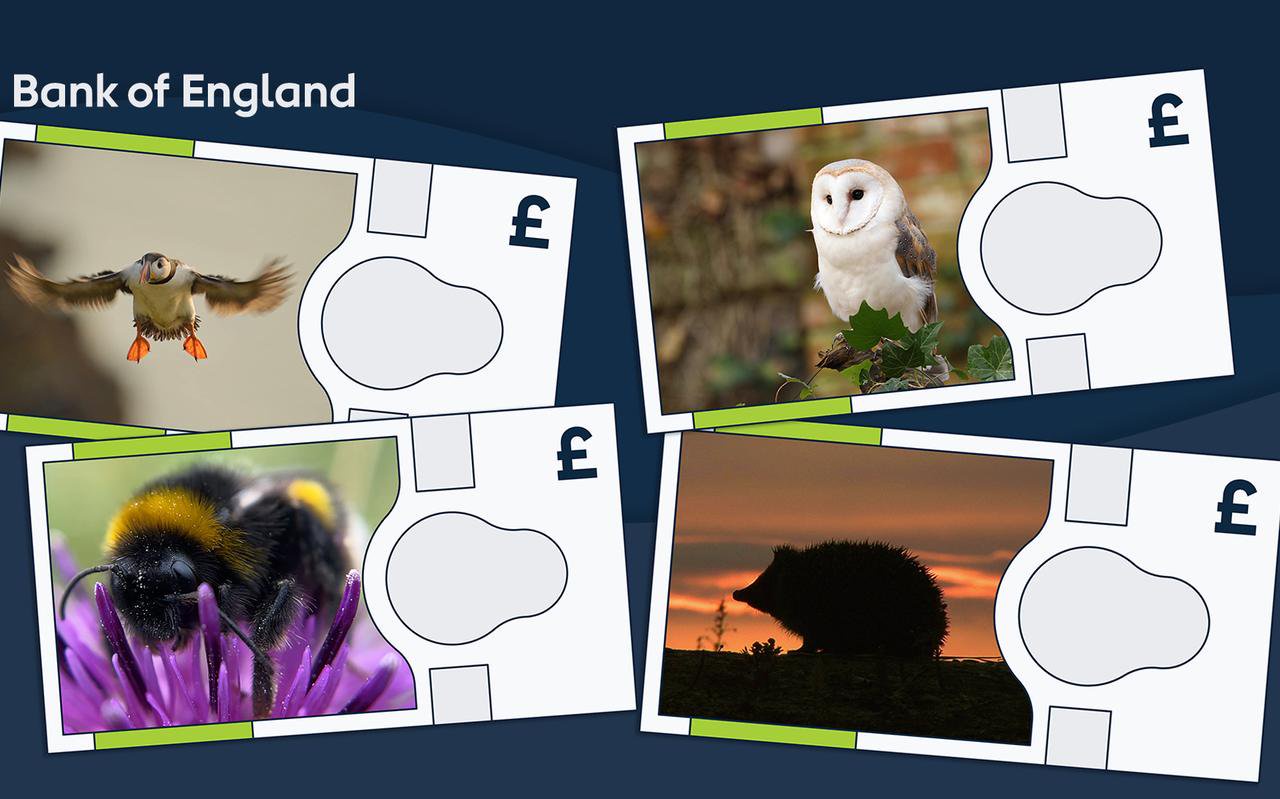 Bank of England reveals which animals will feature on its next banknotes series