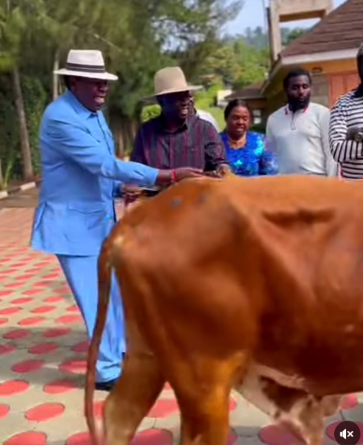 Eugene Wamalwa Storms Wamunyoro With a Bull for Gachagua, Putting Sifuna and Kalonzo on the Spot