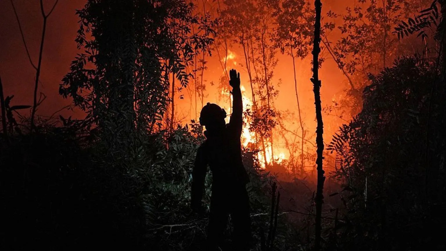 Who’s to blame for the toxic smog choking South East Asia?