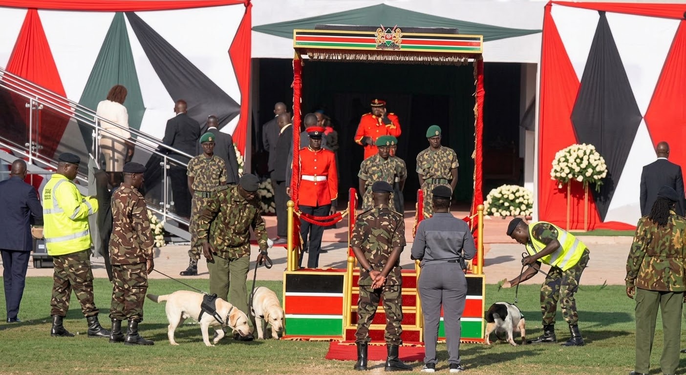 Military Sniffer Dogs Spotted Making a Security Sweep Before Ruto’s Arrival for Mashujaa Day Event