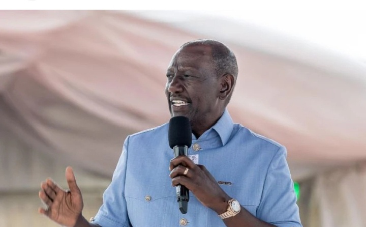 Ruto Drops a Message on Ndindi Nyoro as Dangote Shares Become the Centre of a Fresh Battle