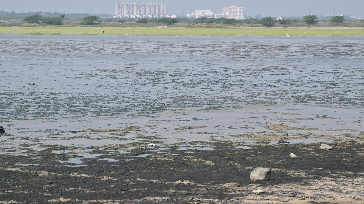 What is the Mamallan Reservoir project in Tamil Nadu and why is it being opposed? Explained