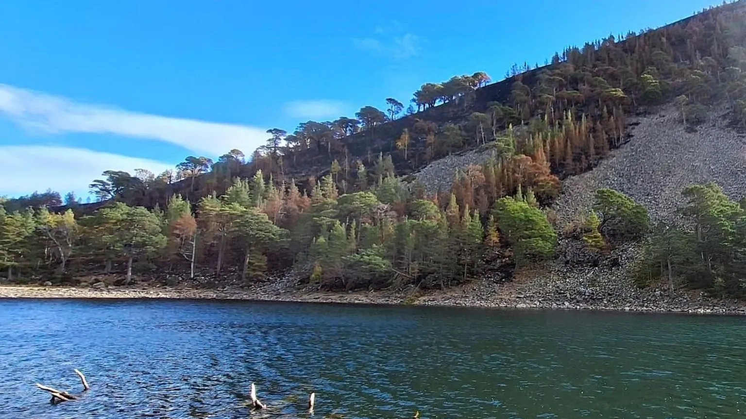 Path to Cairngorms’ Green Loch reopened after major wildfire