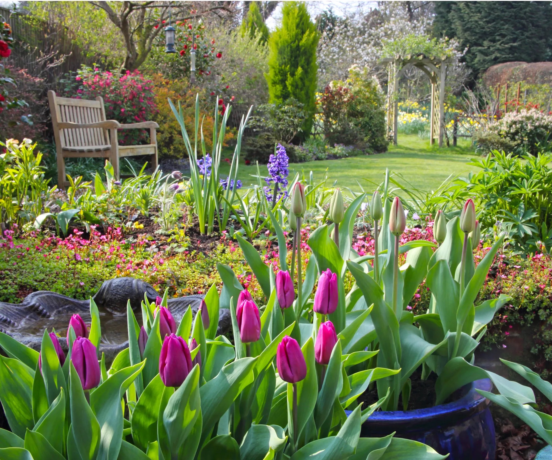 7 Bulbs to Plant in October for a Spectacular Spring Garden You Can Look Forward To All Winter