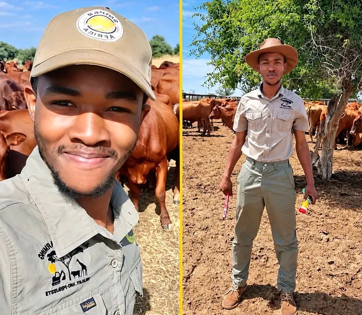 He started farming at 13 with one cow, today he owns 790 hectares and over 300 cattle