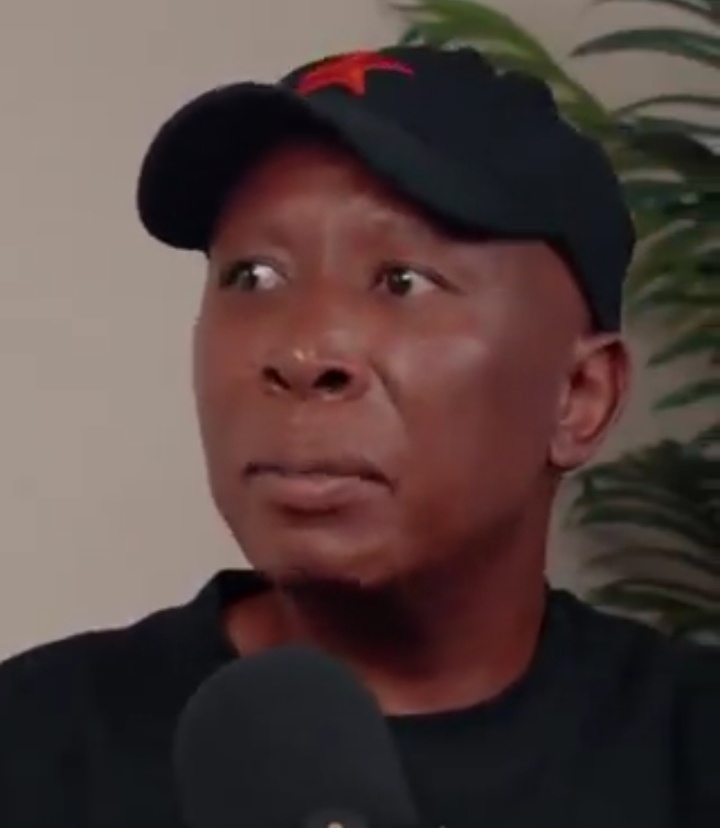 “I Don’t Care About A Foreigner Who Commits Crime” – Julius Malema Defends Foreign Nationals