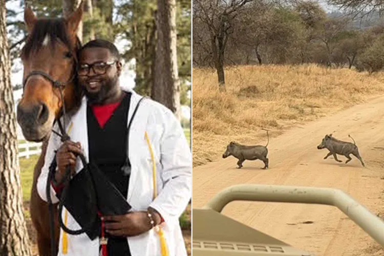 Man Was Filming ‘Extraordinary Wildlife Encounter.’ Seconds Later, Hyenas Were Sprinting at the Camera (Exclusive)