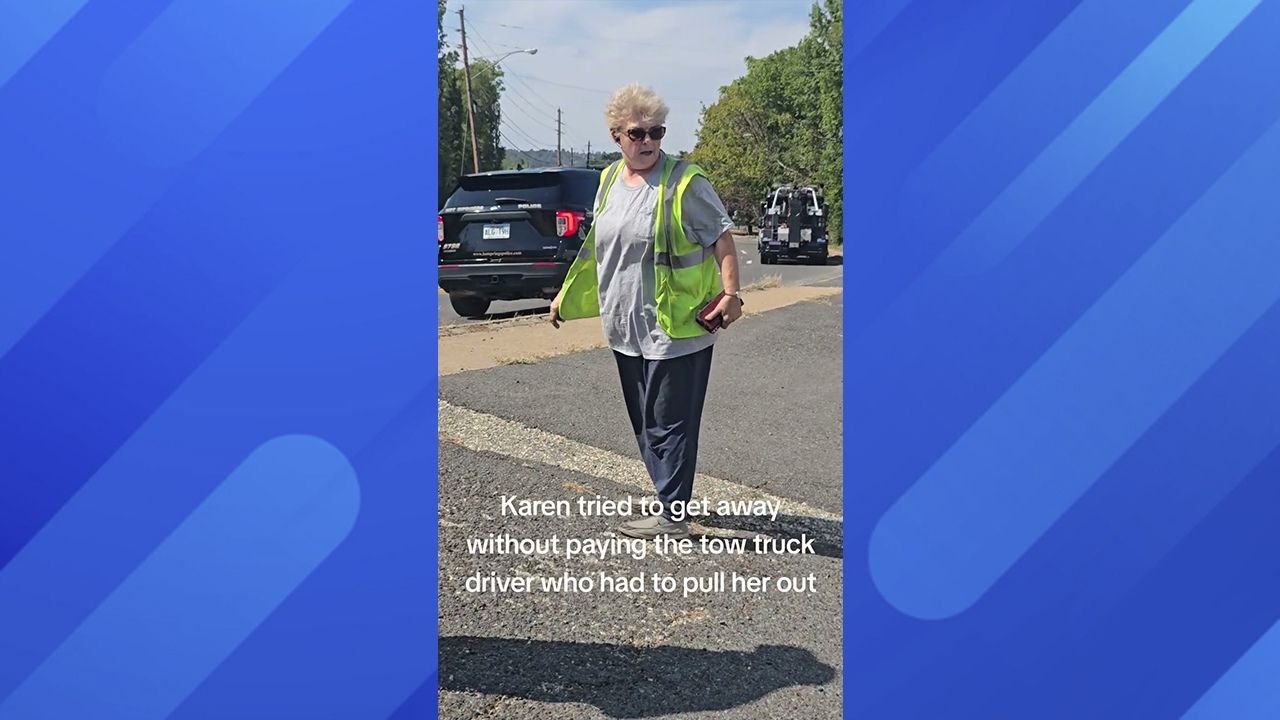 Woman Tries to Not Pay Tow Truck Driver, Causing Huge Blowout With Police