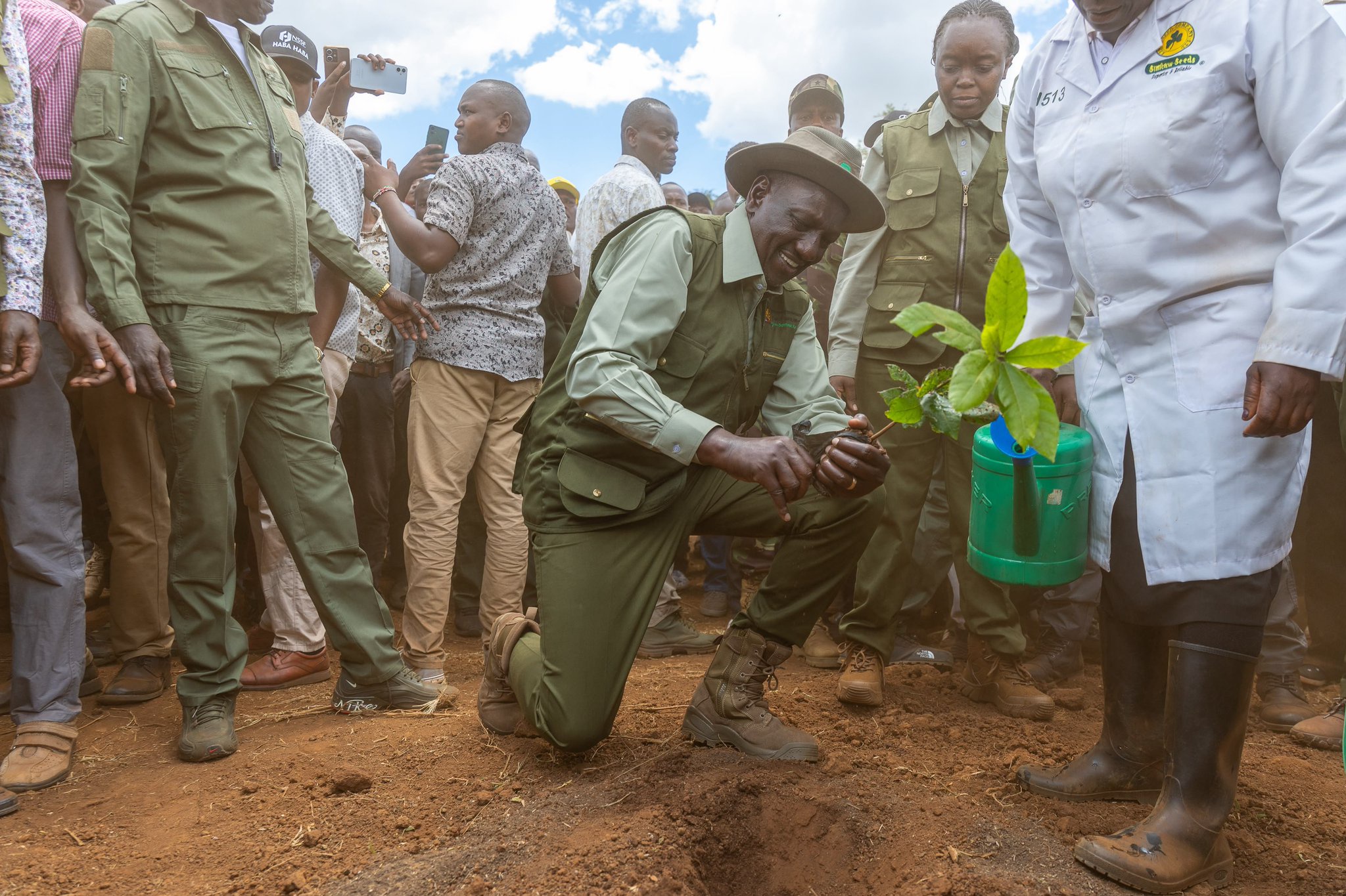 Ruto Launches Cocoa as Cash Crop, Promises Seedlings to Farmers