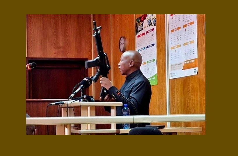 Julius Malema granted leave to appeal firearm conviction—what happens next for the EFF leader’s five-year sentence?