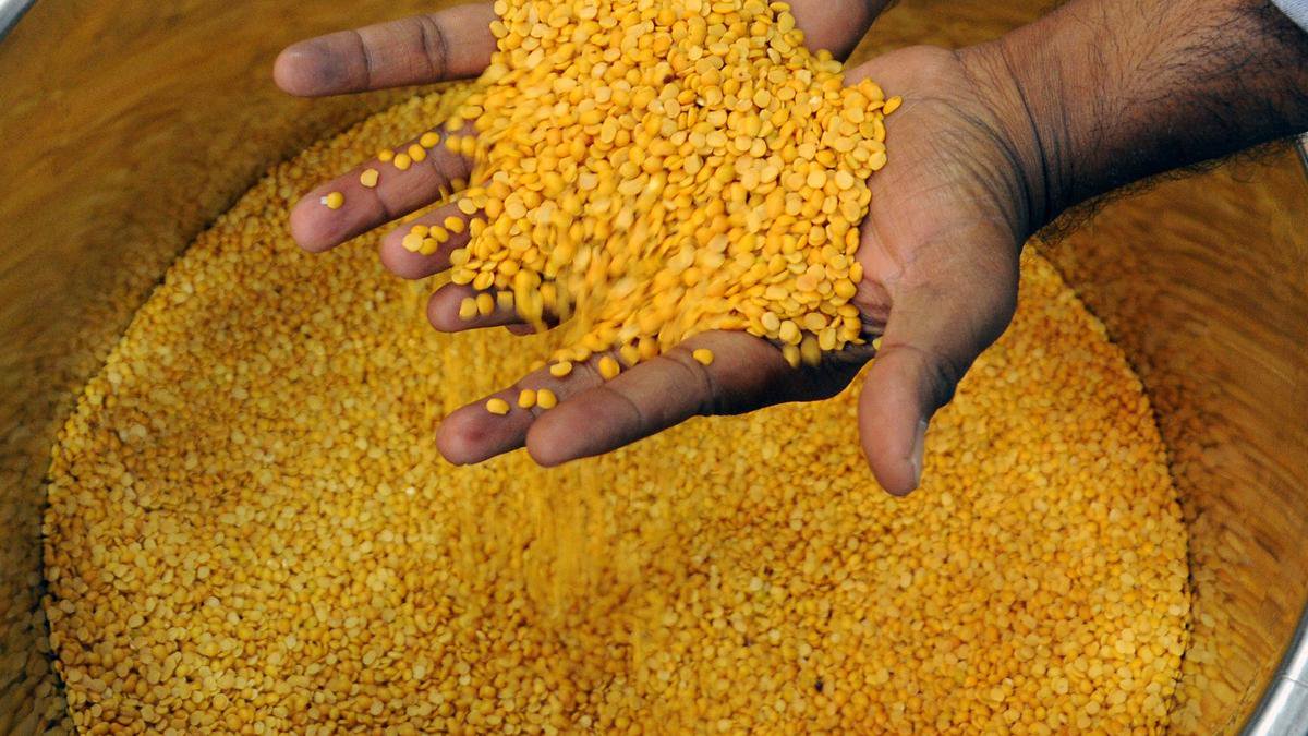 Dry spell pushes rice and toor dal price to new highs