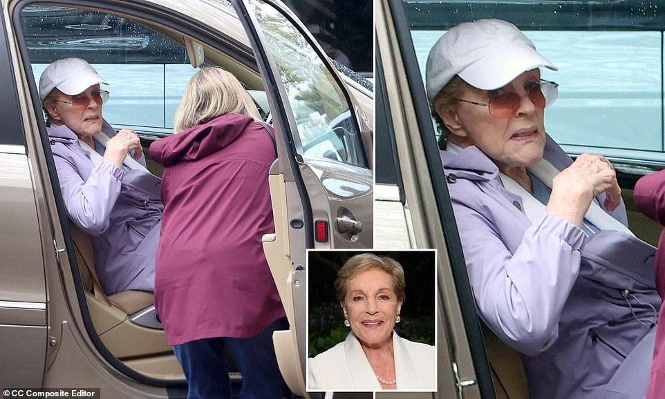 Julie Andrews seen for the first time since turning 91