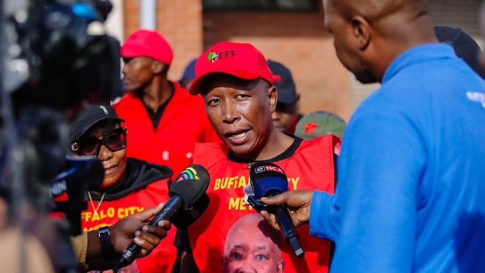 Julius Malema Slams Helen Zille Over Apartheid Past and BMW Campaign Stunts