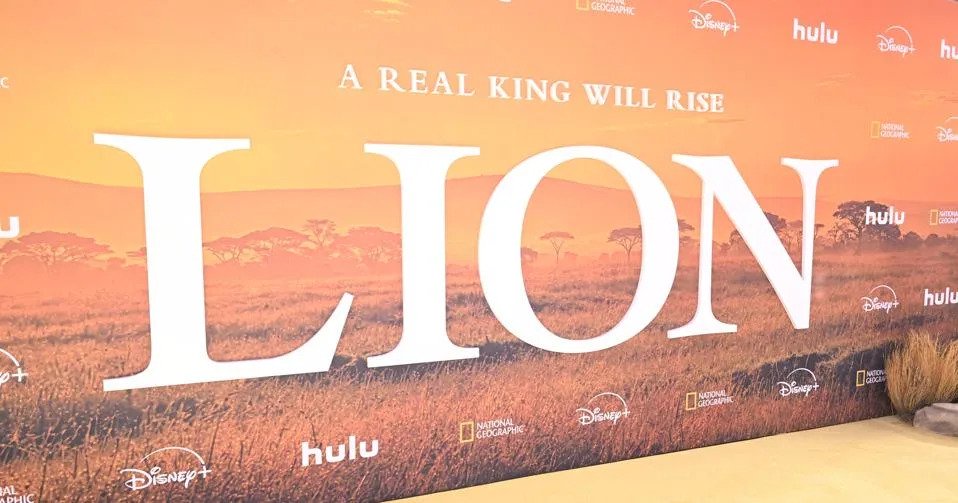Let Nat Geo’s ‘Lion’ And ‘Africa Earth’s Wild Home’ Start Your Journey To Kenya