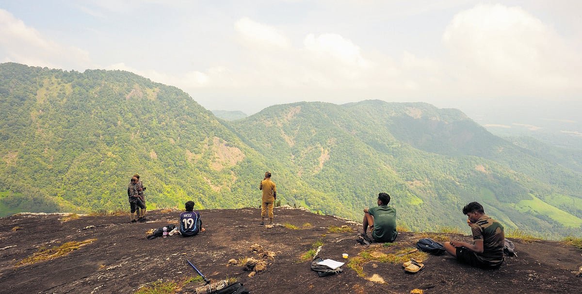 395 winged species recorded in Peechi forest survey