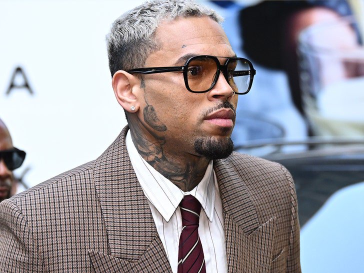 Singer Chris Brown’s former housekeeper wants arrest warrant issued in legal fight over dog bite