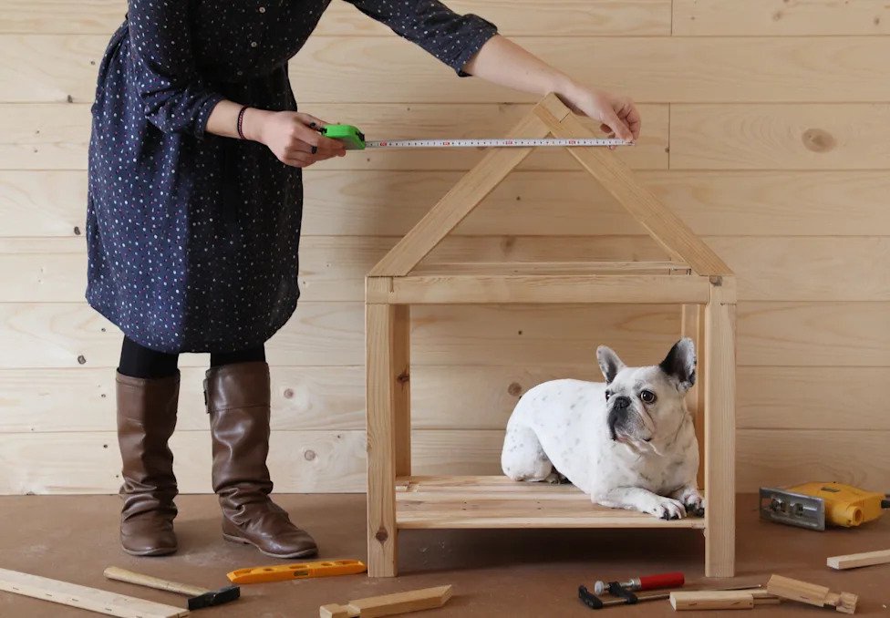 Planning to build a dog house? Here’s what you need to know