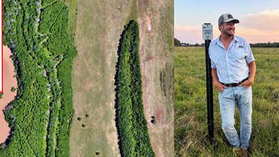 A Louisiana landowner bought 300 acres to raise cattle, but repeated floods changed his plans; he is now restoring wetlands and planting 183 acres of forest to connect wildlife habitats