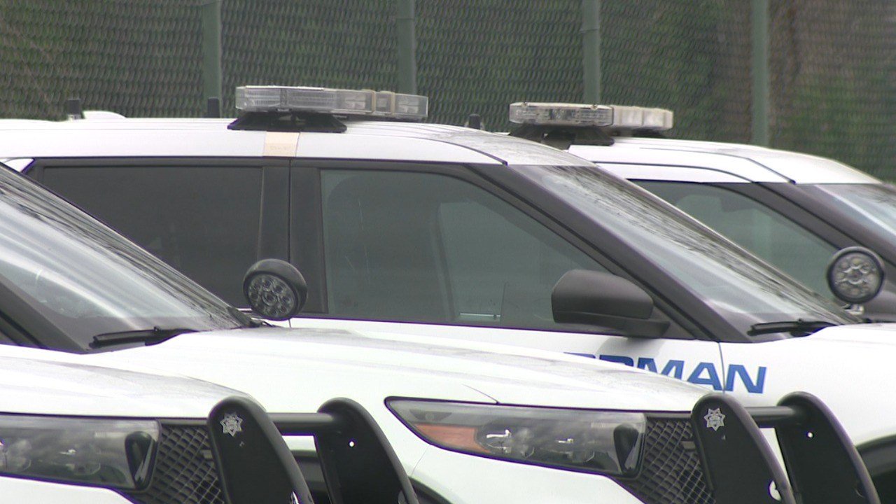Police arrest man after near-100-mph chase: Report