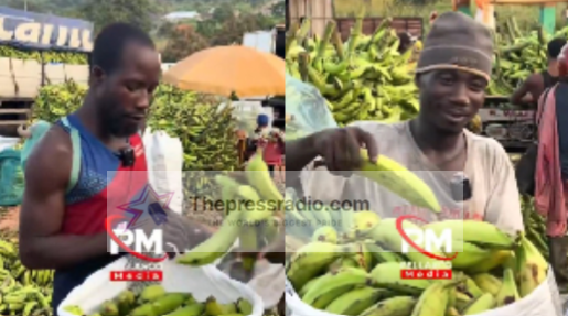 Plantain Packers in Agogo Can Earn Up to GH¢1,000 a Day