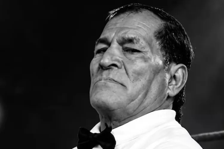 Wrestling Referee, 75, Dies After Fighter Used a Piledriver Move on Him
