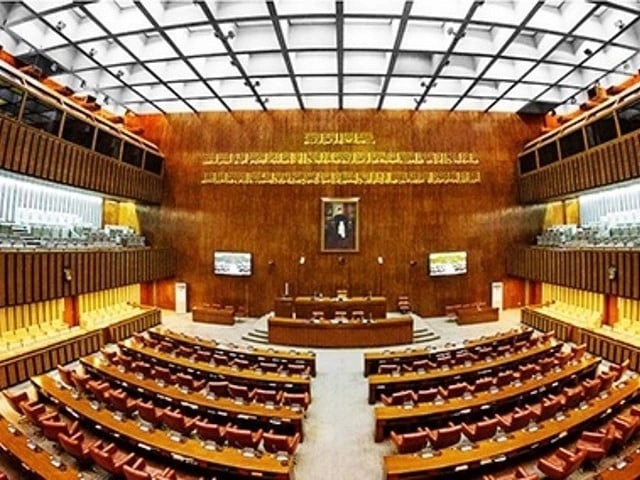 Senate approves blue passports for former lawmakers