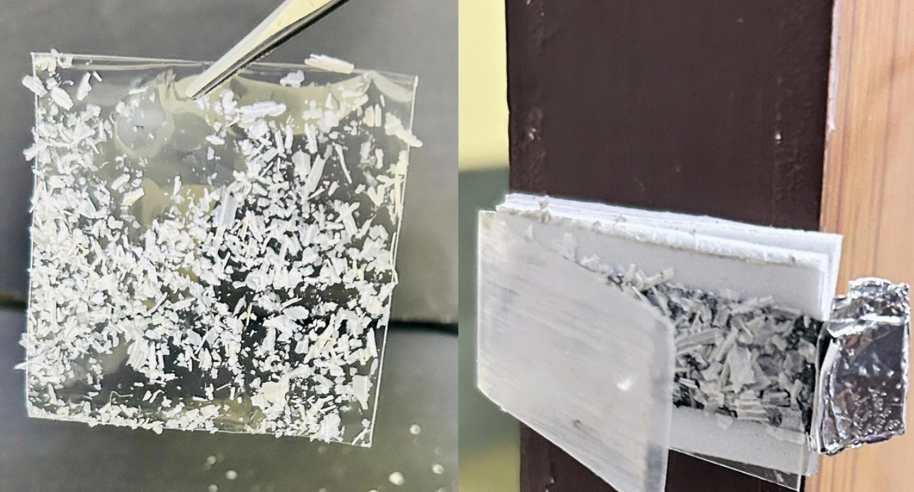 Garlic Peel Powers Self-Generating Security Sensors