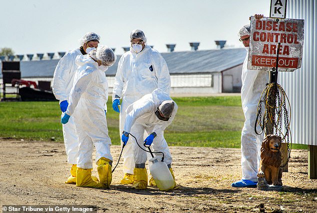 US records this year’s first human case of highly transmissible bird flu in Washington state man
