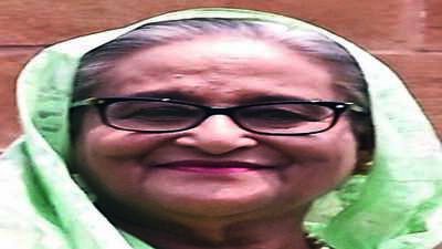 Accepted her as she was still PM: Indian envoy on Hasina’s flight
